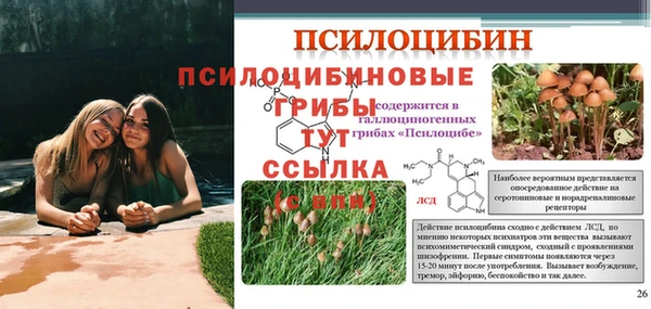 индика Куйбышев