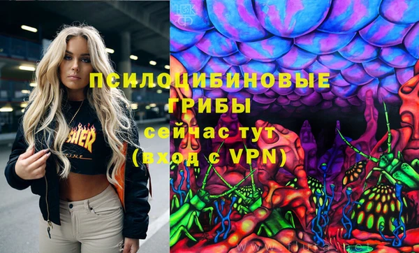 индика Куйбышев