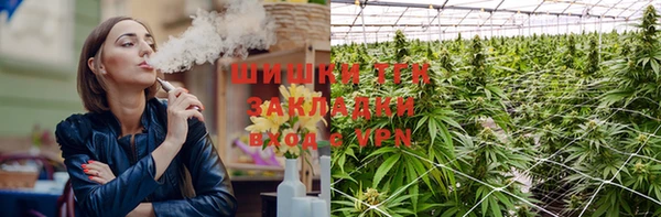 индика Куйбышев