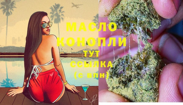индика Куйбышев