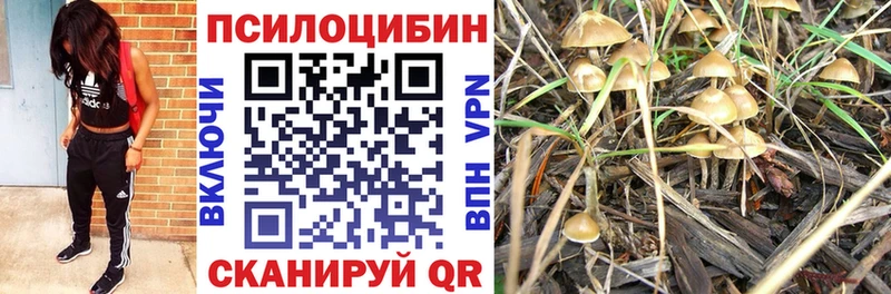 Псилоцибиновые грибы MAGIC MUSHROOMS  наркота  MEGA онион  Новое Девяткино 